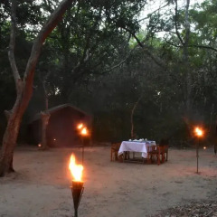 Отель Mahoora Tented Safari Camp - Kumana Шри-Ланка, Яла - отзывы, цены и фото номеров - забронировать отель Mahoora Tented Safari Camp - Kumana онлайн фото 10