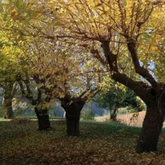 Отель Agriturismo Segnavento - Zaccagnini Италия, Стаффоло - отзывы, цены и фото номеров - забронировать отель Agriturismo Segnavento - Zaccagnini онлайн фитнесс-зал