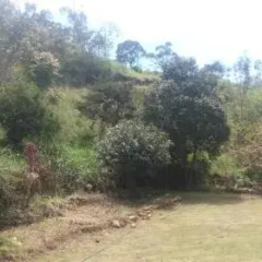 Bandarawela Hotel фото 4