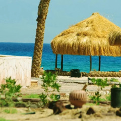 Отель Safari Beach Nuweiba пляж