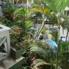 Отель Suva Motor Inn Фиджи, Вити-Леву - отзывы, цены и фото номеров - забронировать отель Suva Motor Inn онлайн