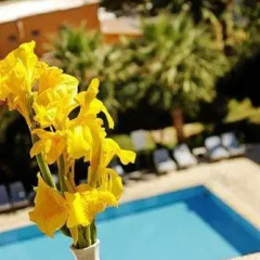 Solim Hotel - All Inclusive детские мероприятия