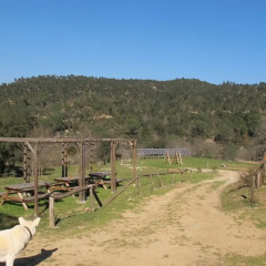 Отель Mas Can Puig de Fuirosos Сан-Селони фото 2