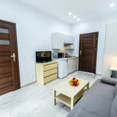 Mini hotel Penguin Rooms 3114 комната для гостей фото 5