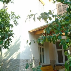 Lotus Garden Hostel Турция, Измир - отзывы, цены и фото номеров - забронировать отель Lotus Garden Hostel онлайн фото 4