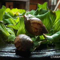 Отель CHANN Bangkok-Noi Таиланд, Бангкок - отзывы, цены и фото номеров - забронировать отель CHANN Bangkok-Noi онлайн фото 9