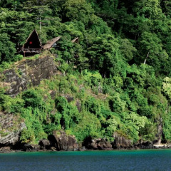 Отель Laucala Island фото 4