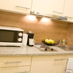 Отель Appartments in der Josefstadt Австрия, Вена - отзывы, цены и фото номеров - забронировать отель Appartments in der Josefstadt онлайн в номере фото 2