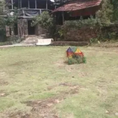 Bandarawela Hotel детские мероприятия фото 2