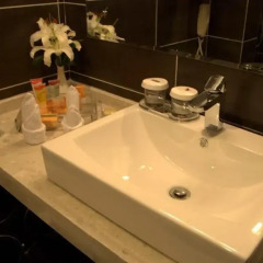 Xian Century Landscape Hotel ванная