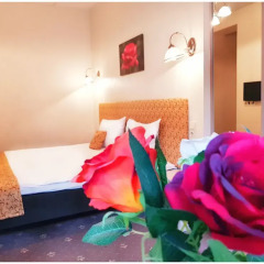 Vivulskio Hotel детские мероприятия