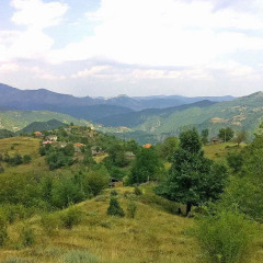 Отель Melanya Mountain Retreat Болгария, Ардино - отзывы, цены и фото номеров - забронировать отель Melanya Mountain Retreat онлайн фото 6