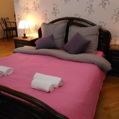 Отель Tofi Hotel Грузия, Тбилиси - отзывы, цены и фото номеров - забронировать отель Tofi Hotel онлайн комната для гостей фото 2