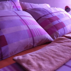 Wallaby House Hostel гостиничный бар