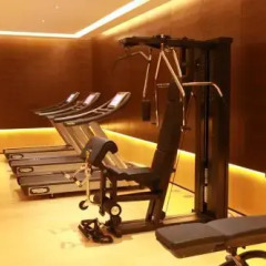 Отель Swisstouches Hotel Xian Китай, Сиань - отзывы, цены и фото номеров - забронировать отель Swisstouches Hotel Xian онлайн фитнесс-зал