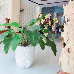 Pearl Beach Hotel интерьер отеля фото 2