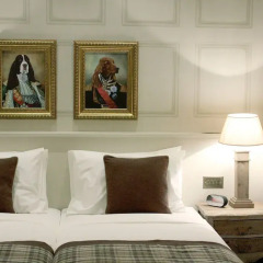 Отель The Grafton Arms Pub & Rooms комната для гостей фото 4