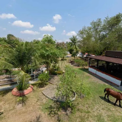 Отель Cowboy Farm Resort Pattaya фото 5