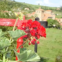 Отель Posada La Solana балкон