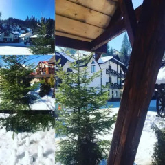 Гостиница Вилла Шале Марсо фото 19