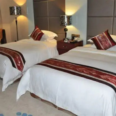 Senqin International Hotel комната для гостей