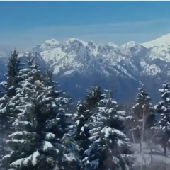 Отель Cristalresort Коллио