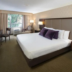 Bethesda Court Hotel комната для гостей фото 5