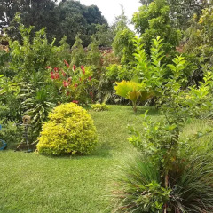 Отель Aparthotel Jardin Tropical фото 10