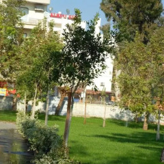 Kumsal Hotel Турция, Зейтинбели - отзывы, цены и фото номеров - забронировать отель Kumsal Hotel онлайн фото 5