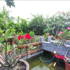 Отель An Bang Sunrise Beach Bungalow фото 6