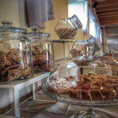 Отель Agriturismo Borgo Tecla Италия, Роза - отзывы, цены и фото номеров - забронировать отель Agriturismo Borgo Tecla онлайн питание фото 3