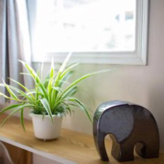 Отель Pho Thuong House Далат удобства в номере