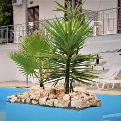 Отель Avra Sea View Paradise Pool Aparthotel Греция, Сивота - отзывы, цены и фото номеров - забронировать отель Avra Sea View Paradise Pool Aparthotel онлайн пляж