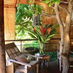 Отель Green Lodge Moorea фото 9