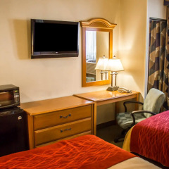 Отель Comfort Inn JFK Airport США, Нью-Йорк - 1 отзыв об отеле, цены и фото номеров - забронировать отель Comfort Inn JFK Airport онлайн удобства в номере фото 2