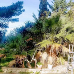Отель Casa Vacanze PiccoleDonne Италия, Агридженто - отзывы, цены и фото номеров - забронировать отель Casa Vacanze PiccoleDonne онлайн фото 5