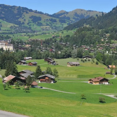 Отель Chalet Weidhaus Ferienwohnung & Zimmer фото 12