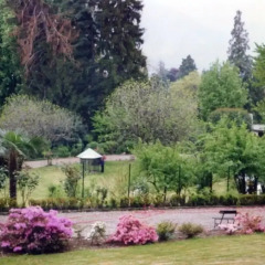 Отель Albergo Villa Azalea Италия, Вербания - отзывы, цены и фото номеров - забронировать отель Albergo Villa Azalea онлайн фото 6