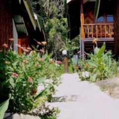 Отель Phi Phi Dusit Bungalow