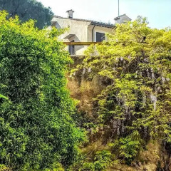 Отель B&B Colosseum фото 2
