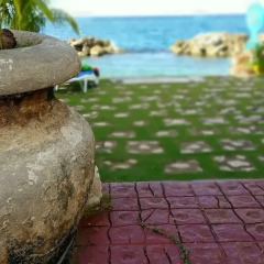 Отель Ocho Rios Beach Resort at ChrisAnn пляж