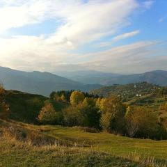 Отель Melanya Mountain Retreat Болгария, Ардино - отзывы, цены и фото номеров - забронировать отель Melanya Mountain Retreat онлайн приотельная территория фото 2