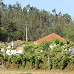 Отель Bed & Breakfast Lagar do Rio