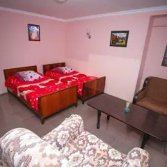 Отель Guest House Natia Грузия, Тбилиси - отзывы, цены и фото номеров - забронировать отель Guest House Natia онлайн комната для гостей фото 5
