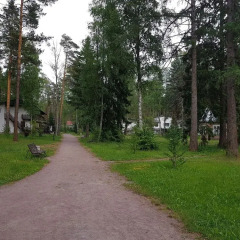 Гостиница Дом творчества Архитектор в Санкт-Петербурге 1 отзыв об отеле, цены и фото номеров - забронировать гостиницу Дом творчества Архитектор онлайн Санкт-Петербург фото 7