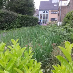 Hotel Haus Am Rieth In Nettetal Germany From 115 Photos