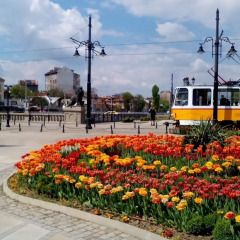 Отель Greek rooms in city centre