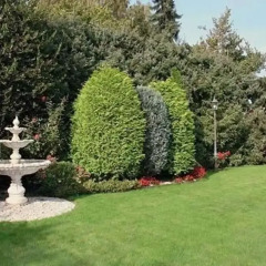 Отель Garten-Hotel Ponick Германия, Кёльн - отзывы, цены и фото номеров - забронировать отель Garten-Hotel Ponick онлайн