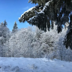 Отель Panorama Pamporovo Пампорово спортивное сооружение