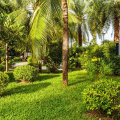 Отель Cholchan Pattaya Beach Resort фото 9